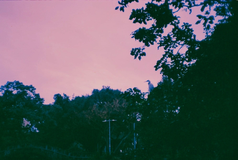 /analog_nostalgia/WhatsApp Image 2025-09-06 at 18.38.00 (1).jpg